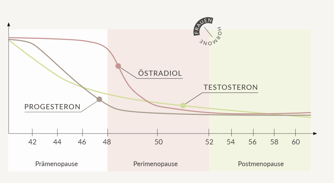 Phasen hormoneller Veränderung Hintergrund
